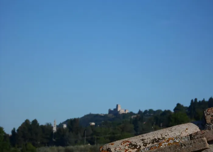 Il Sentiero Di 3* Assisi