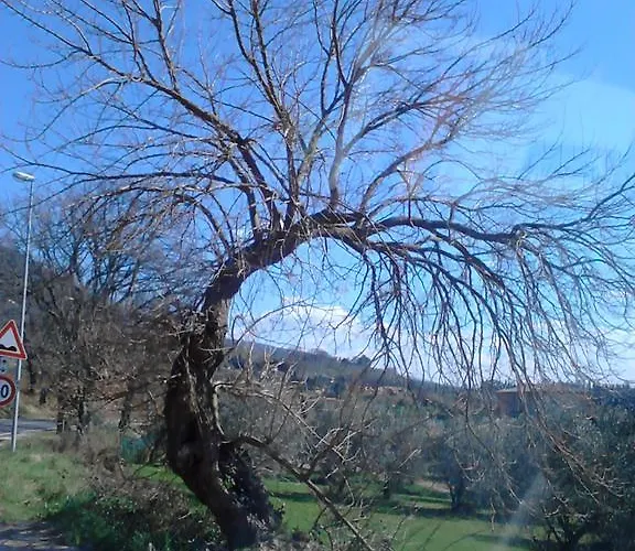 Il Sentiero Di Bed & Breakfast 3*