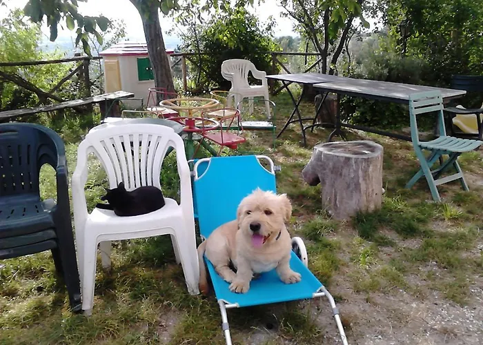 Bed & Breakfast Il Sentiero Di Assisi